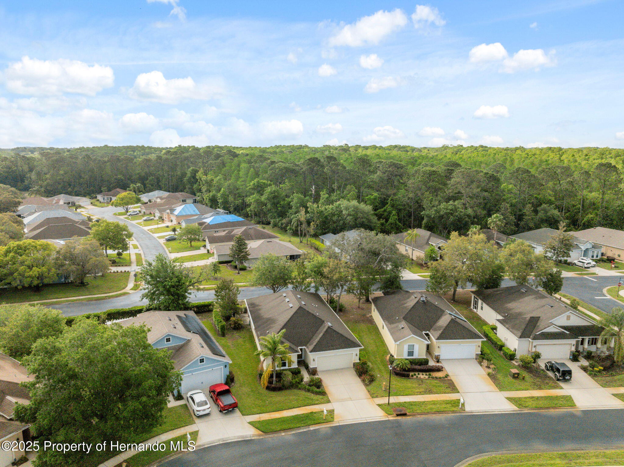 11254 Mollymawk Court, New Port Richey, Florida image 36
