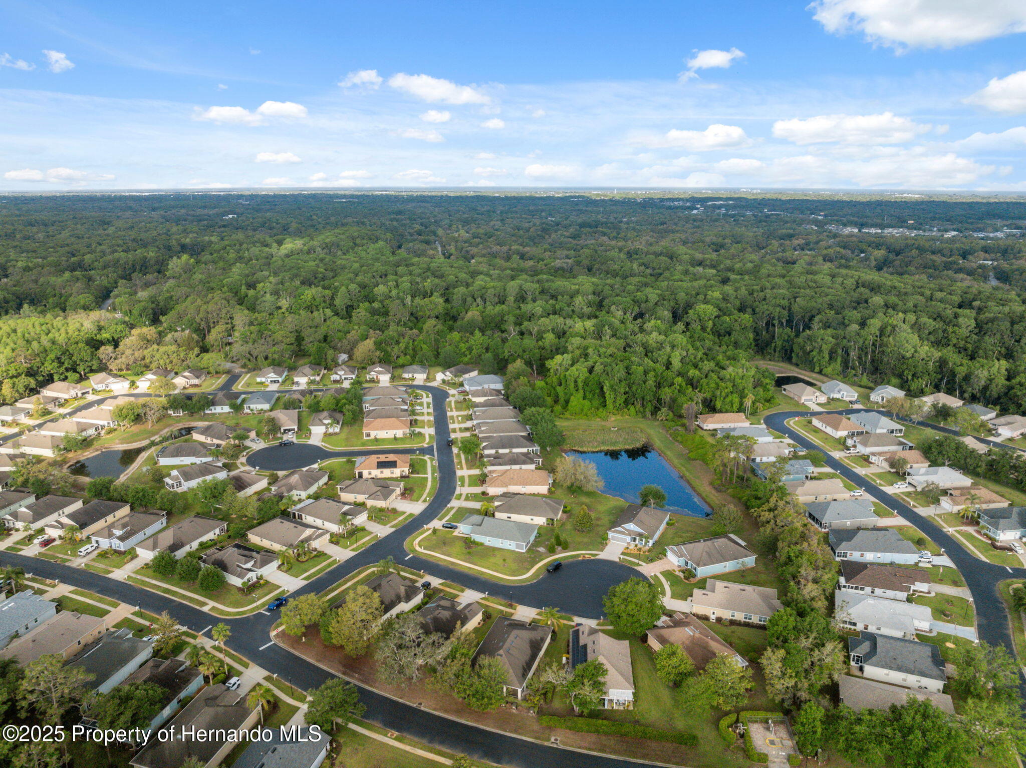 11254 Mollymawk Court, New Port Richey, Florida image 38