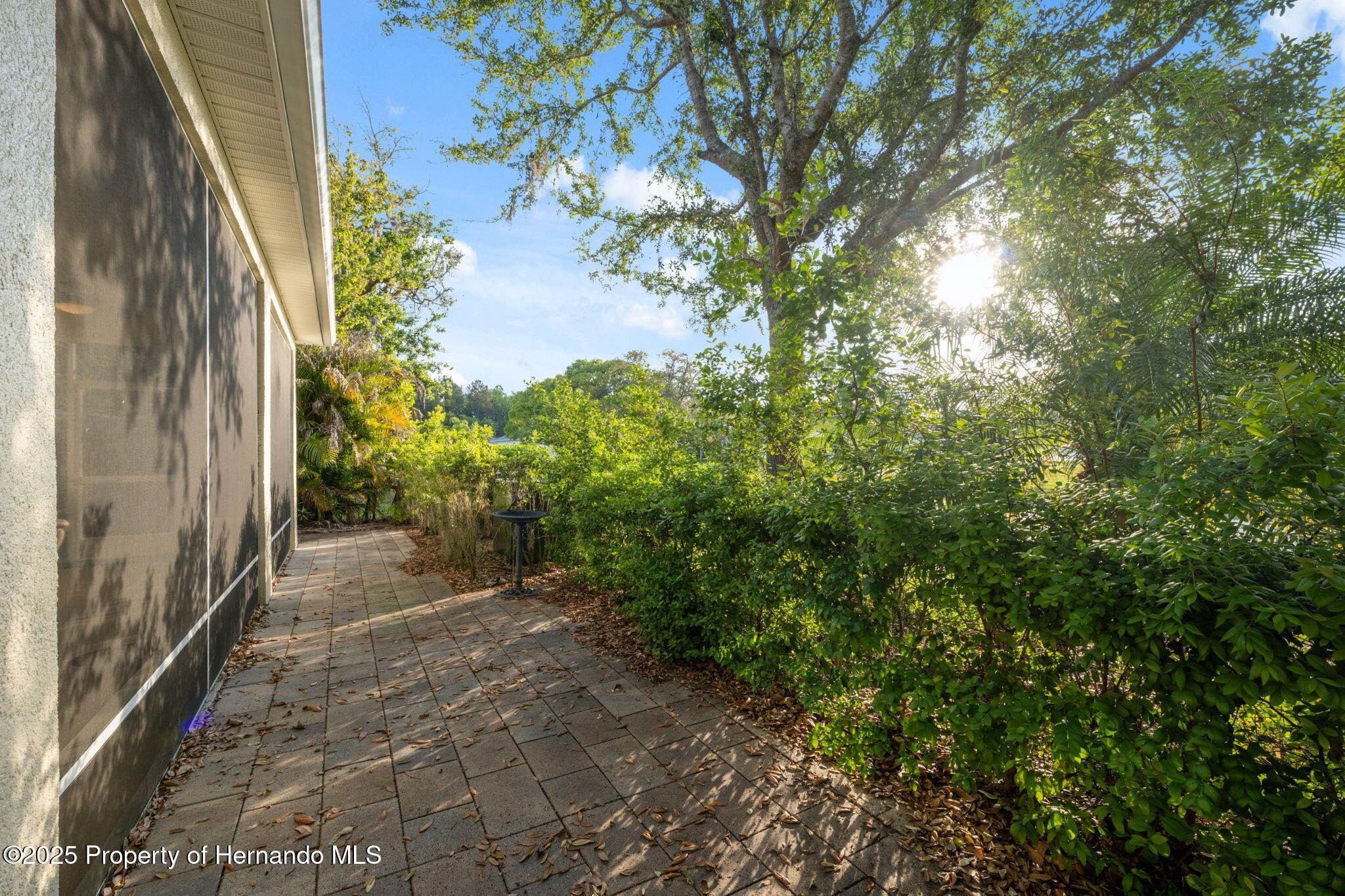 11254 Mollymawk Court, New Port Richey, Florida image 34