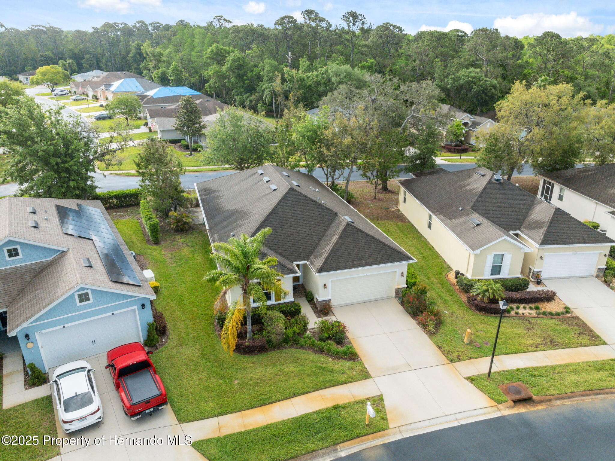 11254 Mollymawk Court, New Port Richey, Florida image 35
