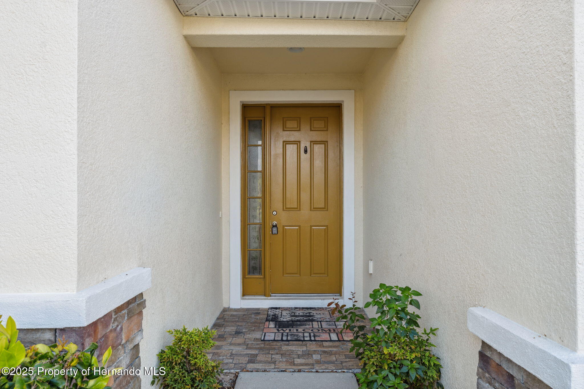 11254 Mollymawk Court, New Port Richey, Florida image 6