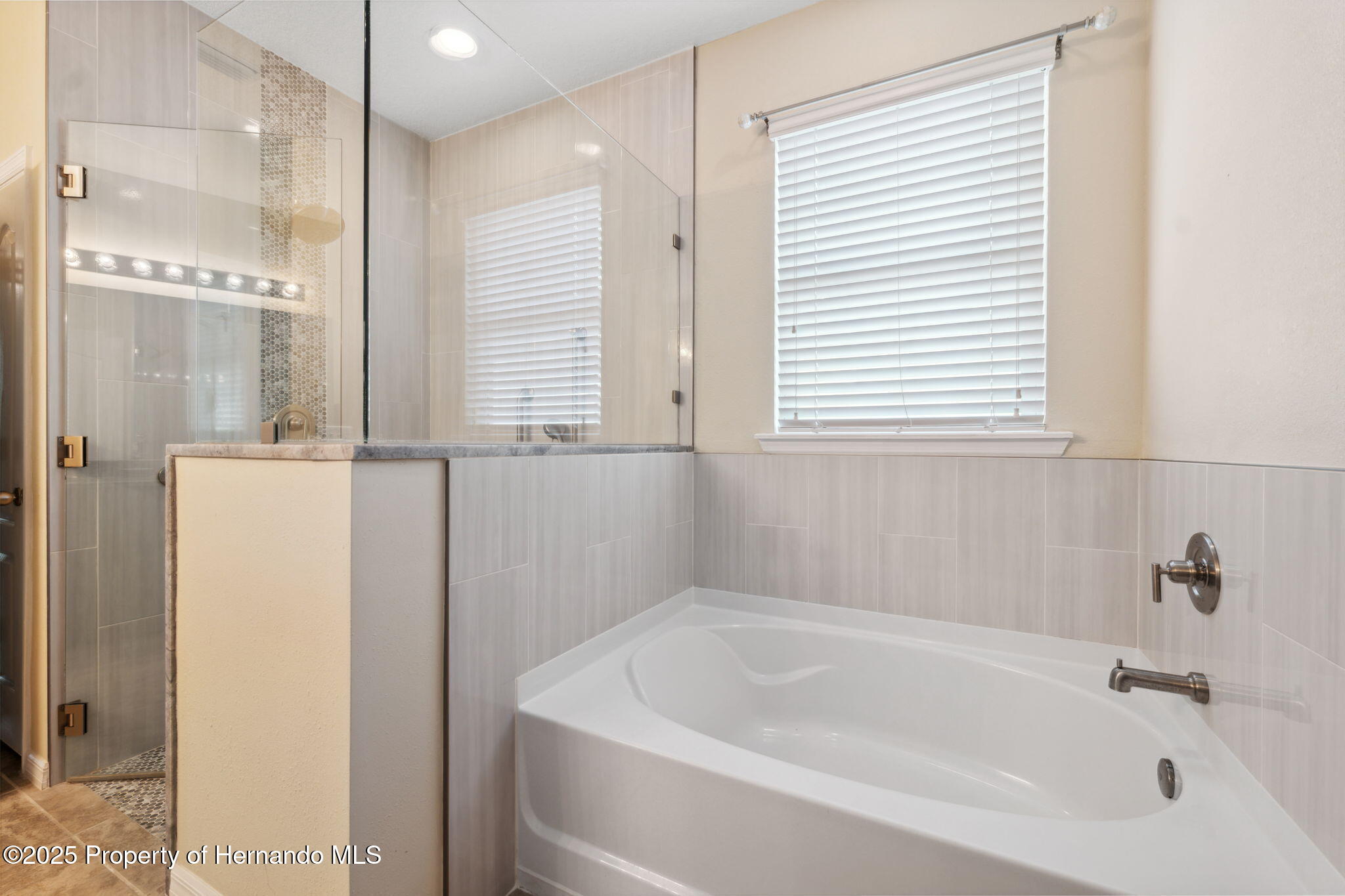 11254 Mollymawk Court, New Port Richey, Florida image 20