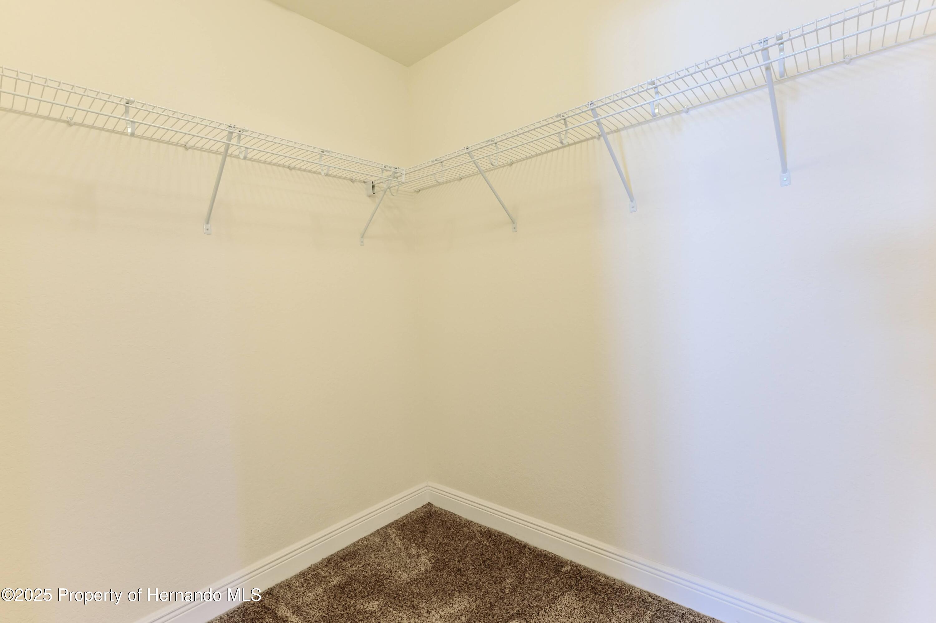1151 Mystic Court, Spring Hill, Florida image 22