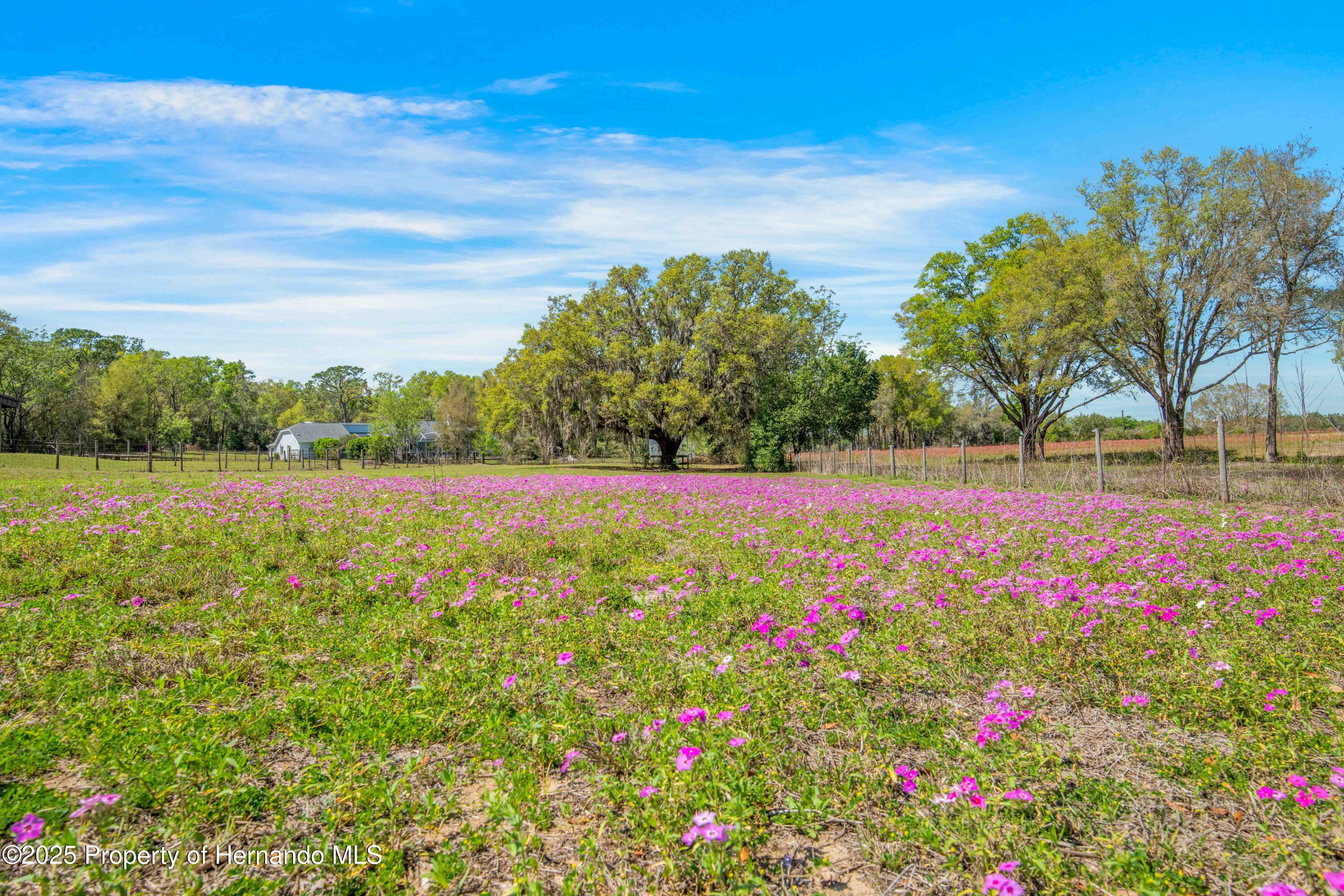 28089 Old Trilby Road, Brooksville, Florida image 7