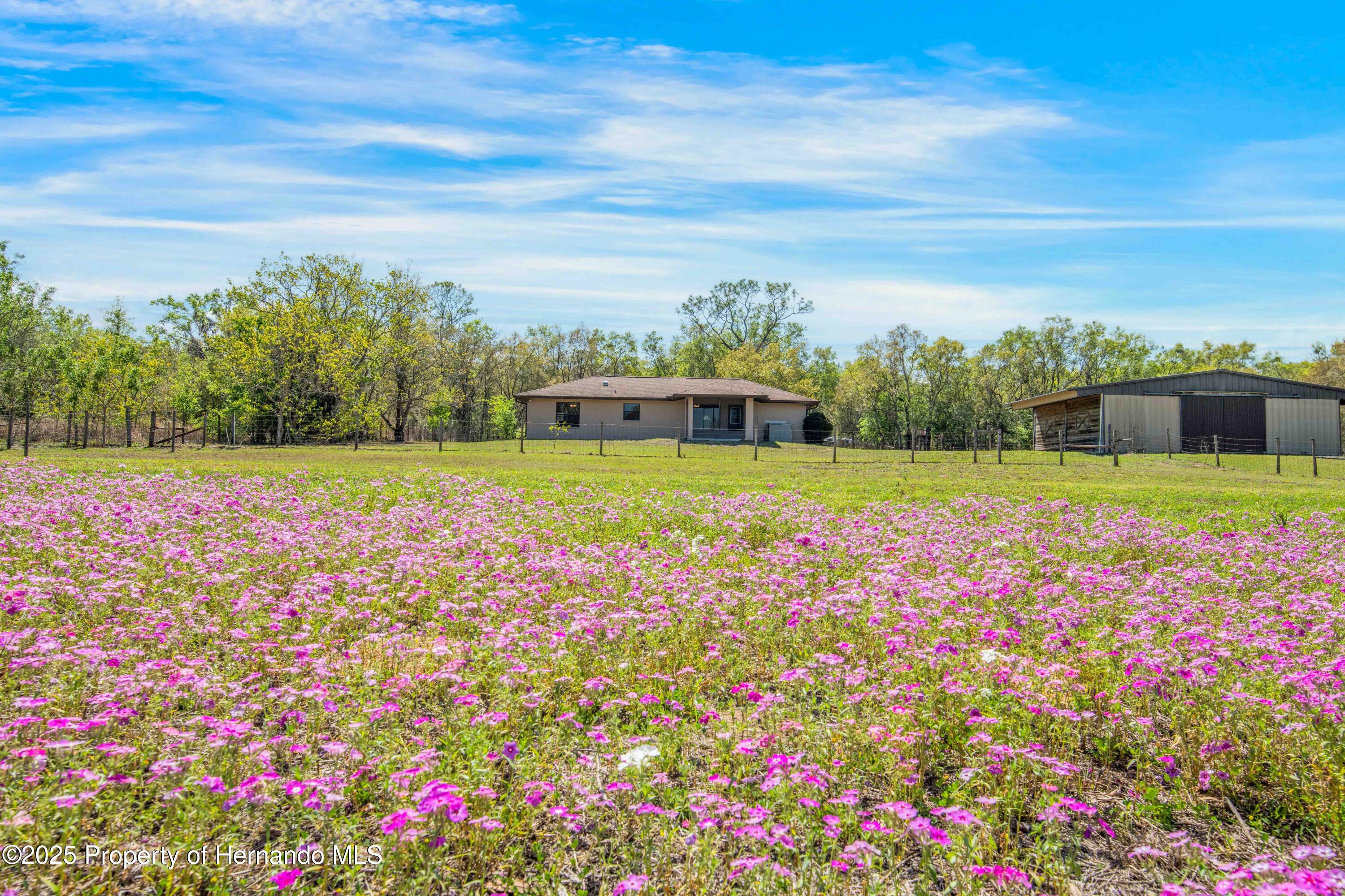 28089 Old Trilby Road, Brooksville, Florida image 8
