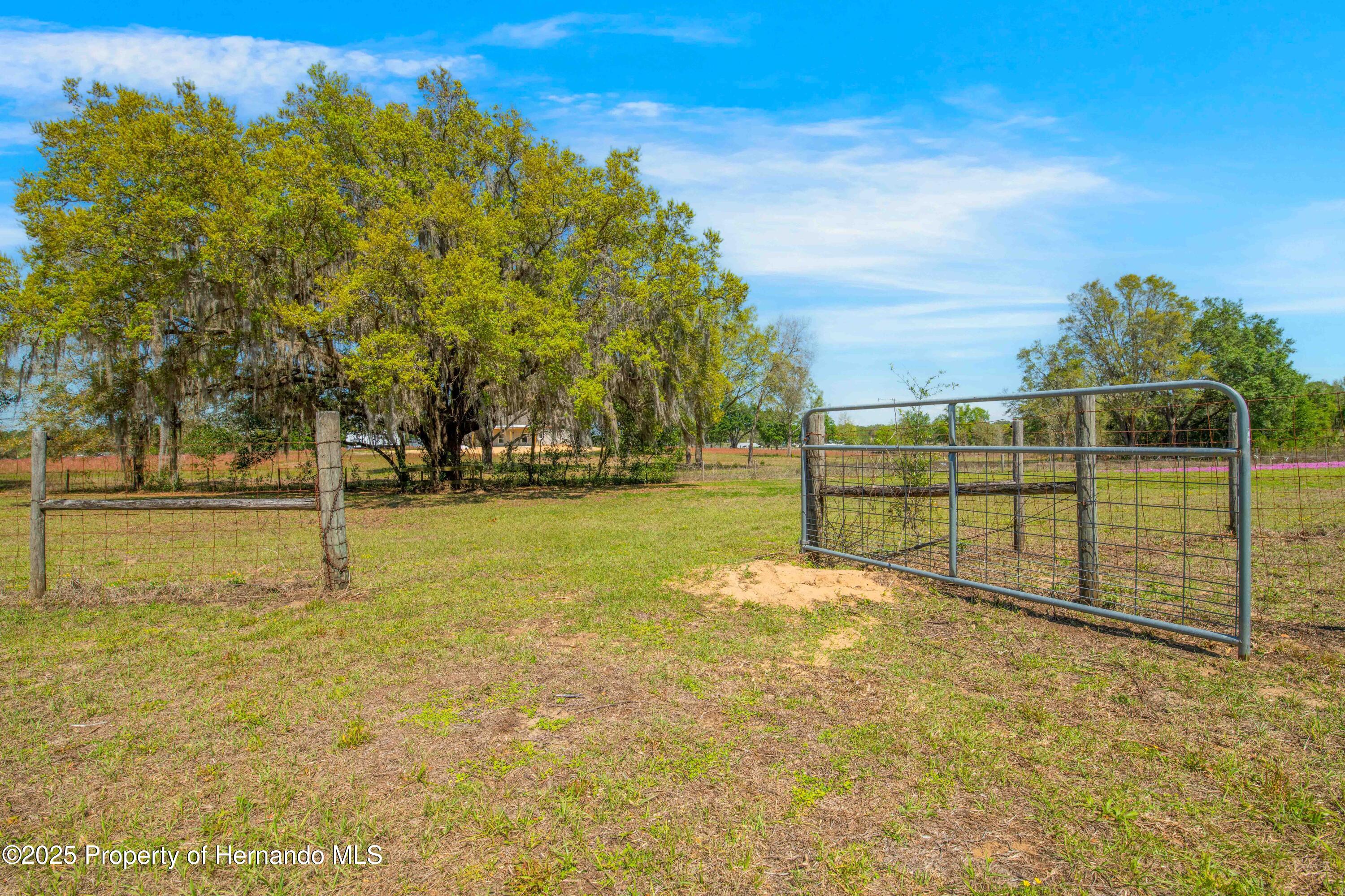 28089 Old Trilby Road, Brooksville, Florida image 43