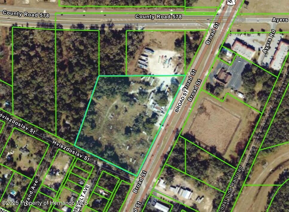 1157 Broad Street, Brooksville, Florida image 1