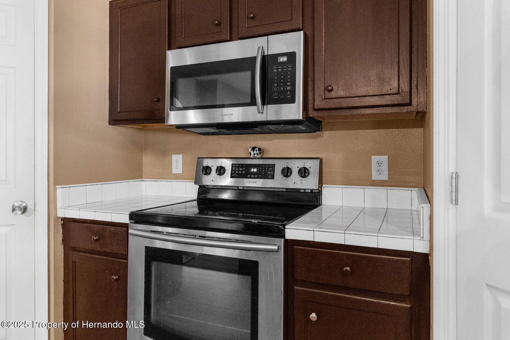 10399 Elgin Boulevard, Spring Hill, Florida image 8