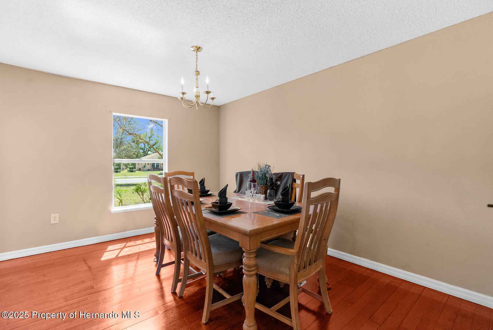 10399 Elgin Boulevard, Spring Hill, Florida image 11