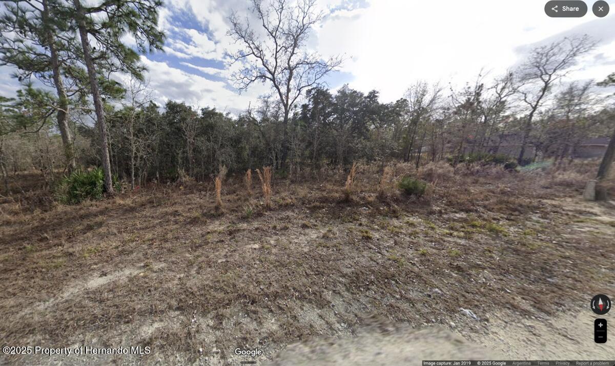 13174 Paxton Avenue, Weeki Wachee, Florida image 3