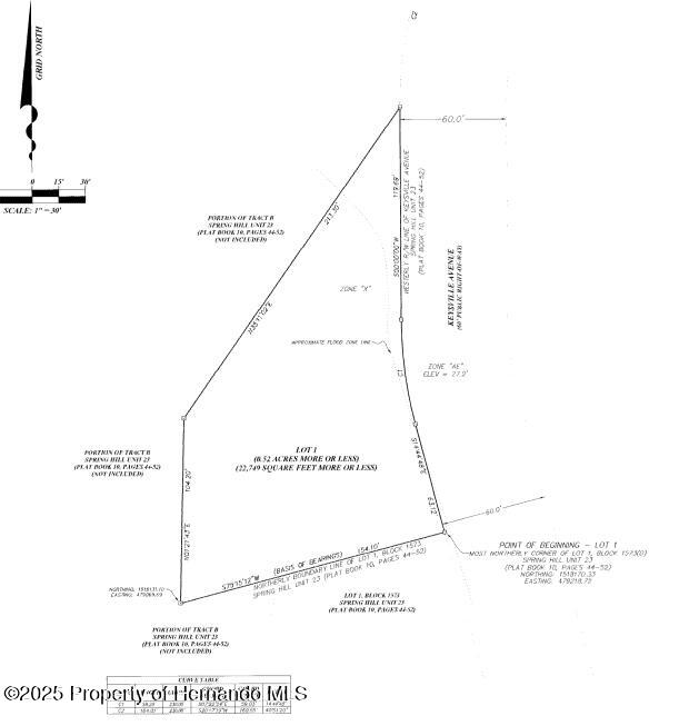 5303 Keysville Avenue, Spring Hill, Florida image 2