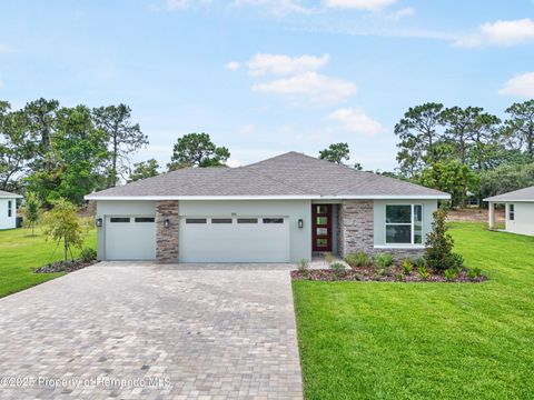 Homes For Sale - 9143 Players Drive<br/> Weeki Wachee, FL 34613