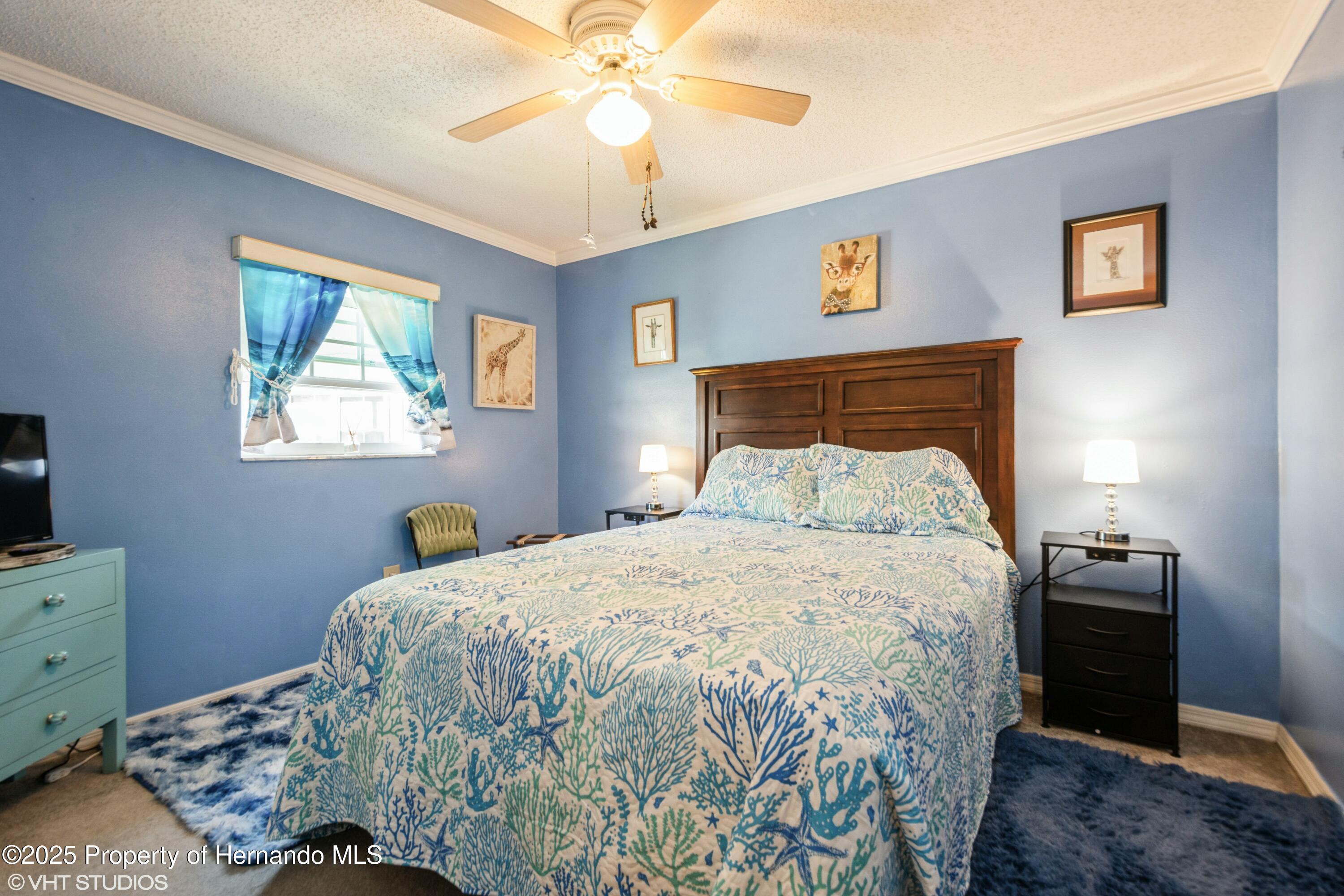 6710 Devonshire Lane, New Port Richey, Florida image 13