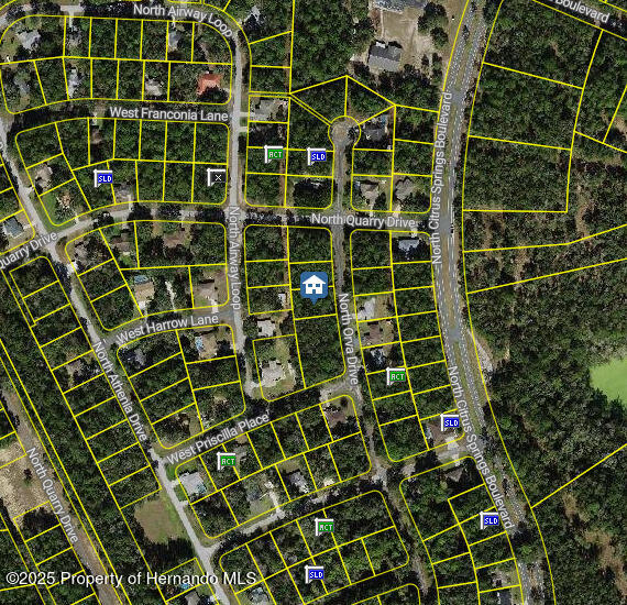 10768 N Orva Drive, Dunnellon, Florida image 2