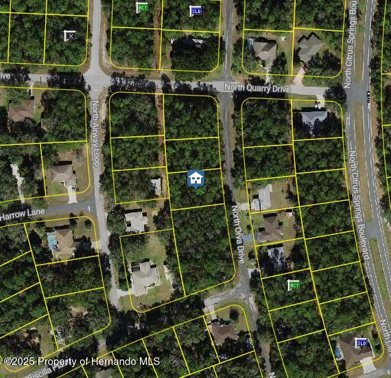 10768 N Orva Drive, Dunnellon, Florida image 1