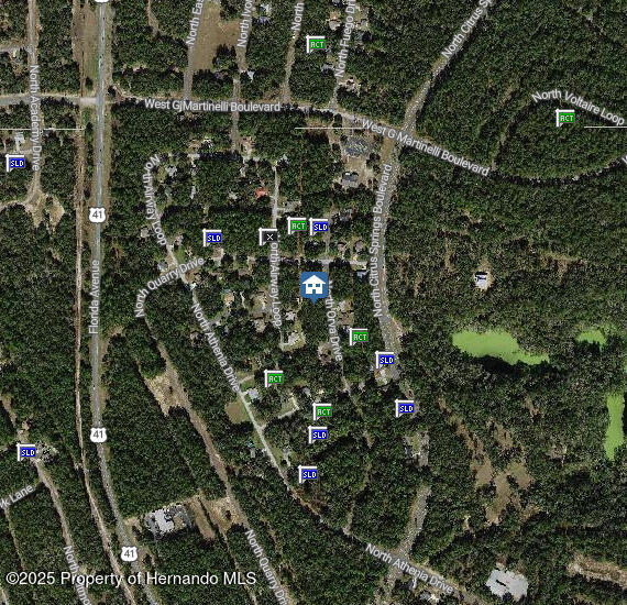 10768 N Orva Drive, Dunnellon, Florida image 3
