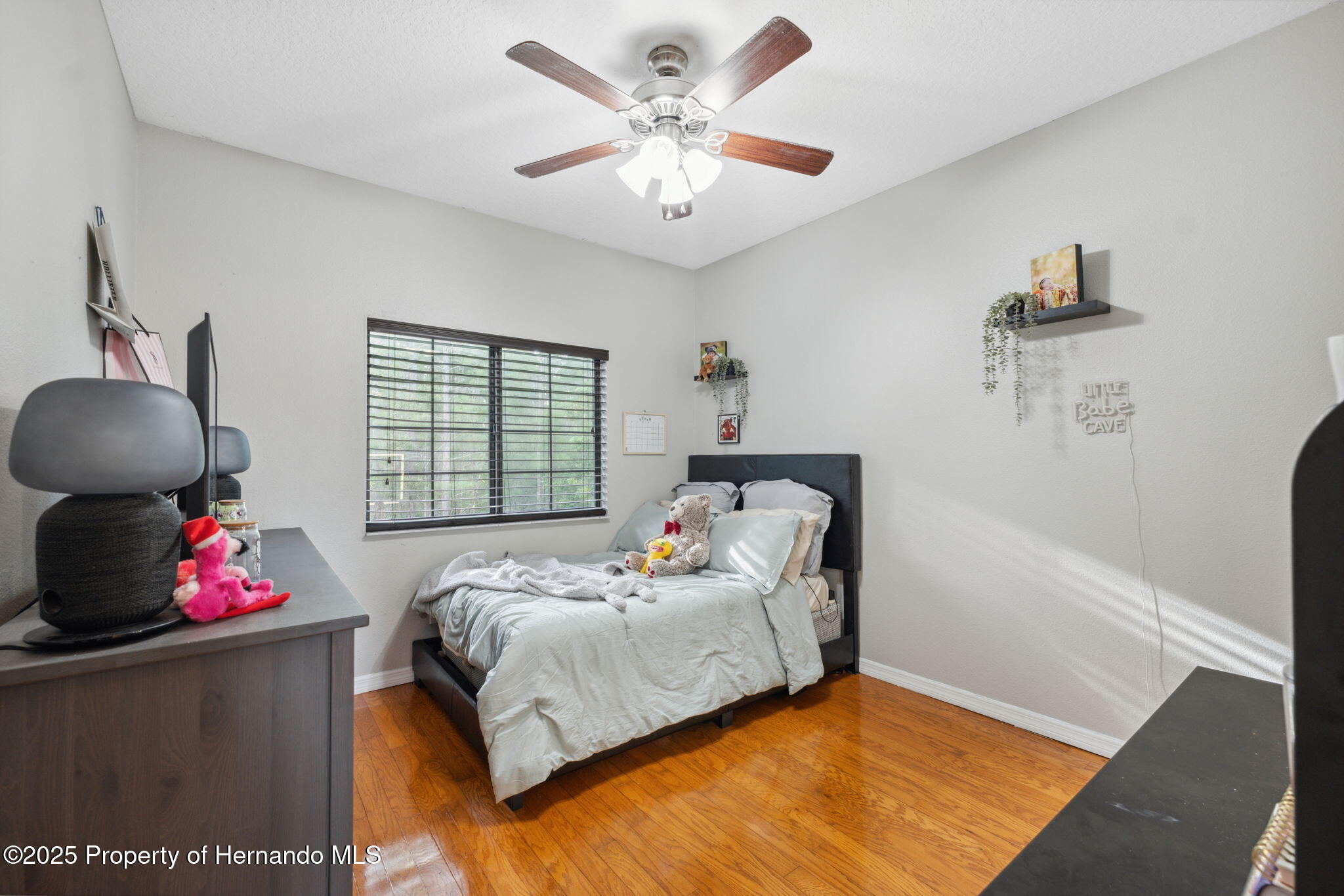 1108 Blackwater Drive, Zephyrhills, Florida image 30