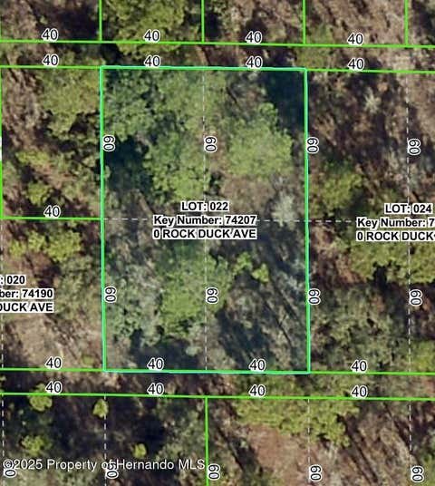 Vacant Land For Sale - Rock Duck<br/> Weeki Wachee, FL 34614