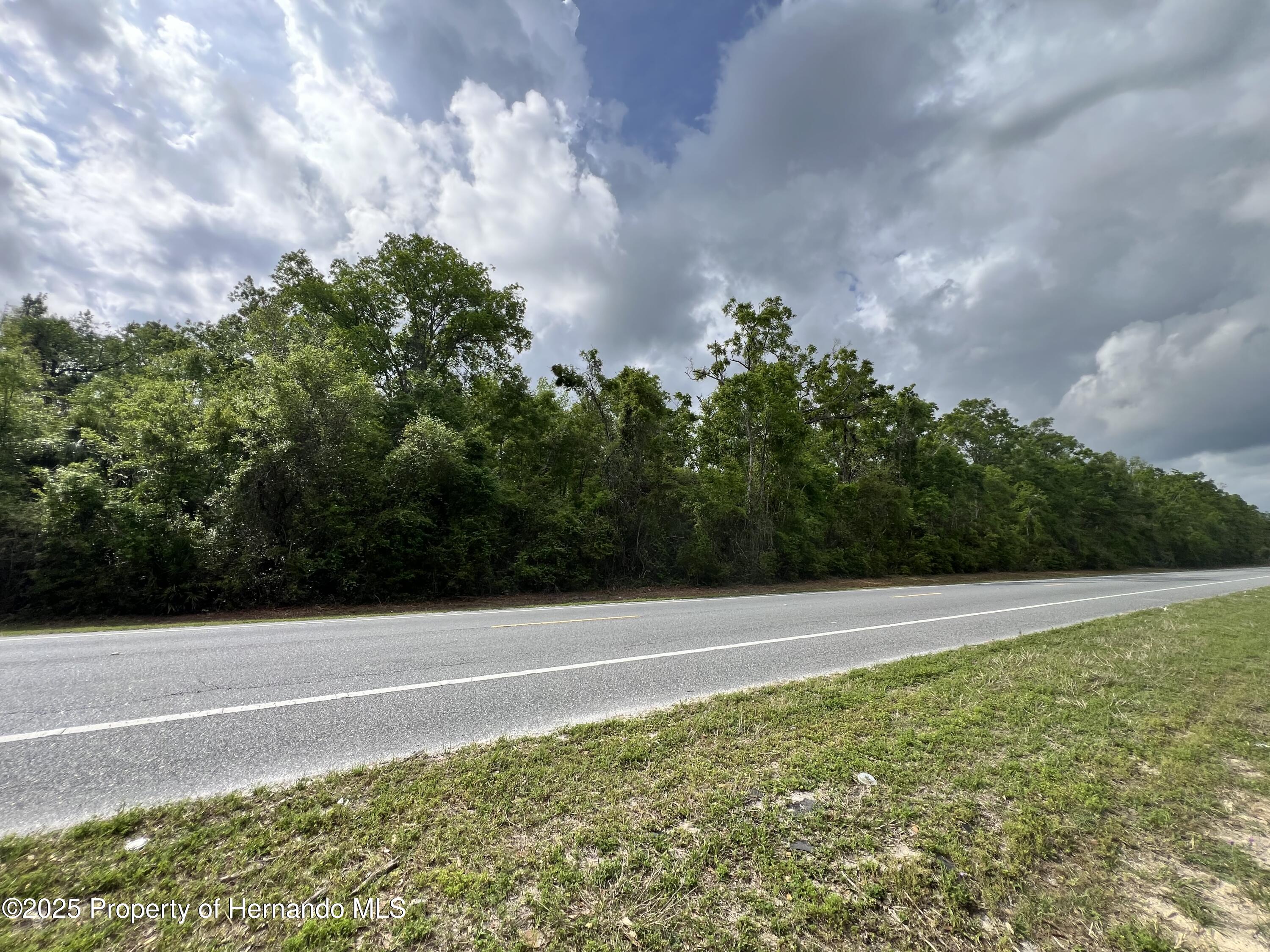 NE 349 Avenue, Old Town, Florida image 2