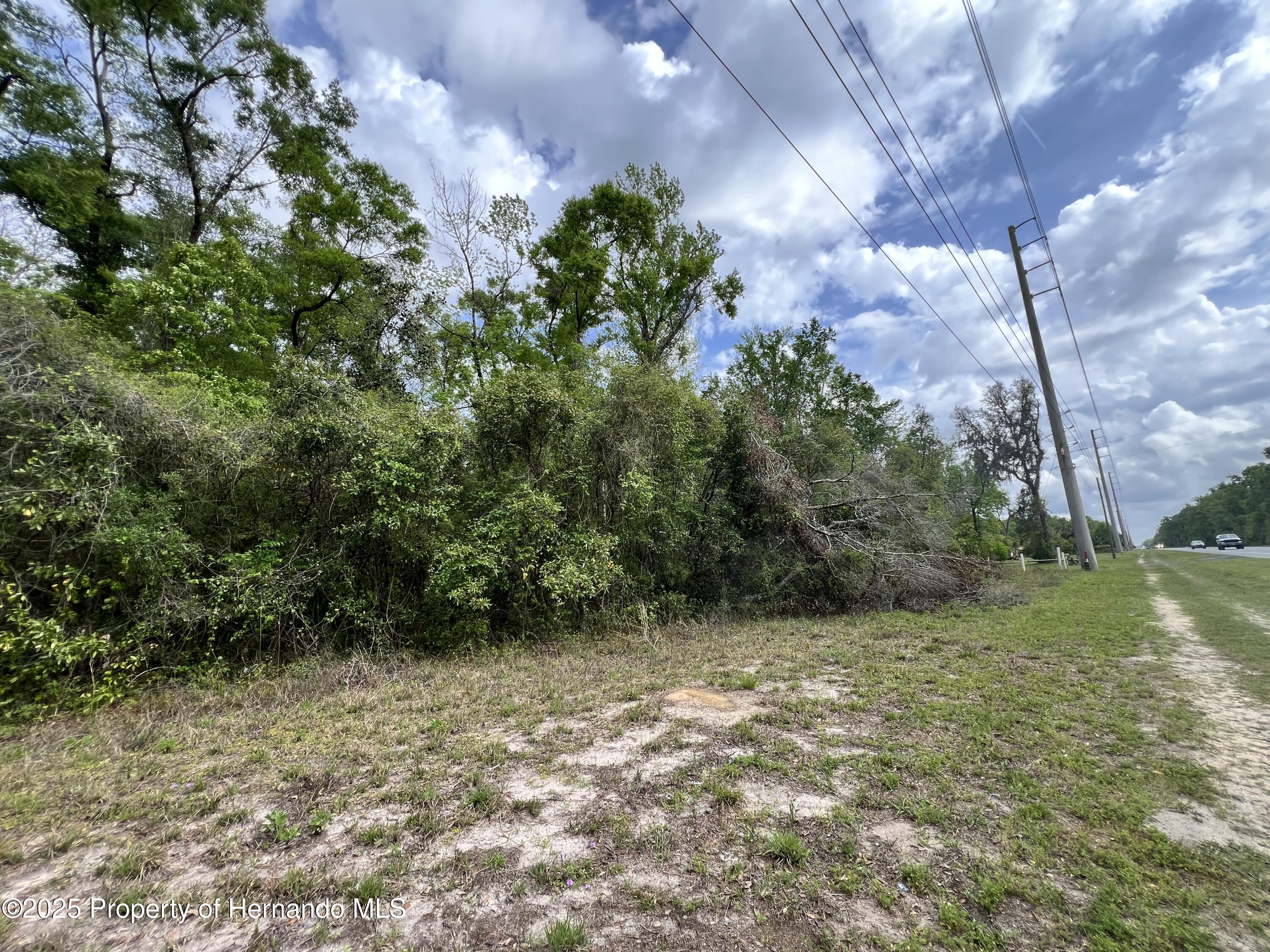 NE 349 Avenue, Old Town, Florida image 5