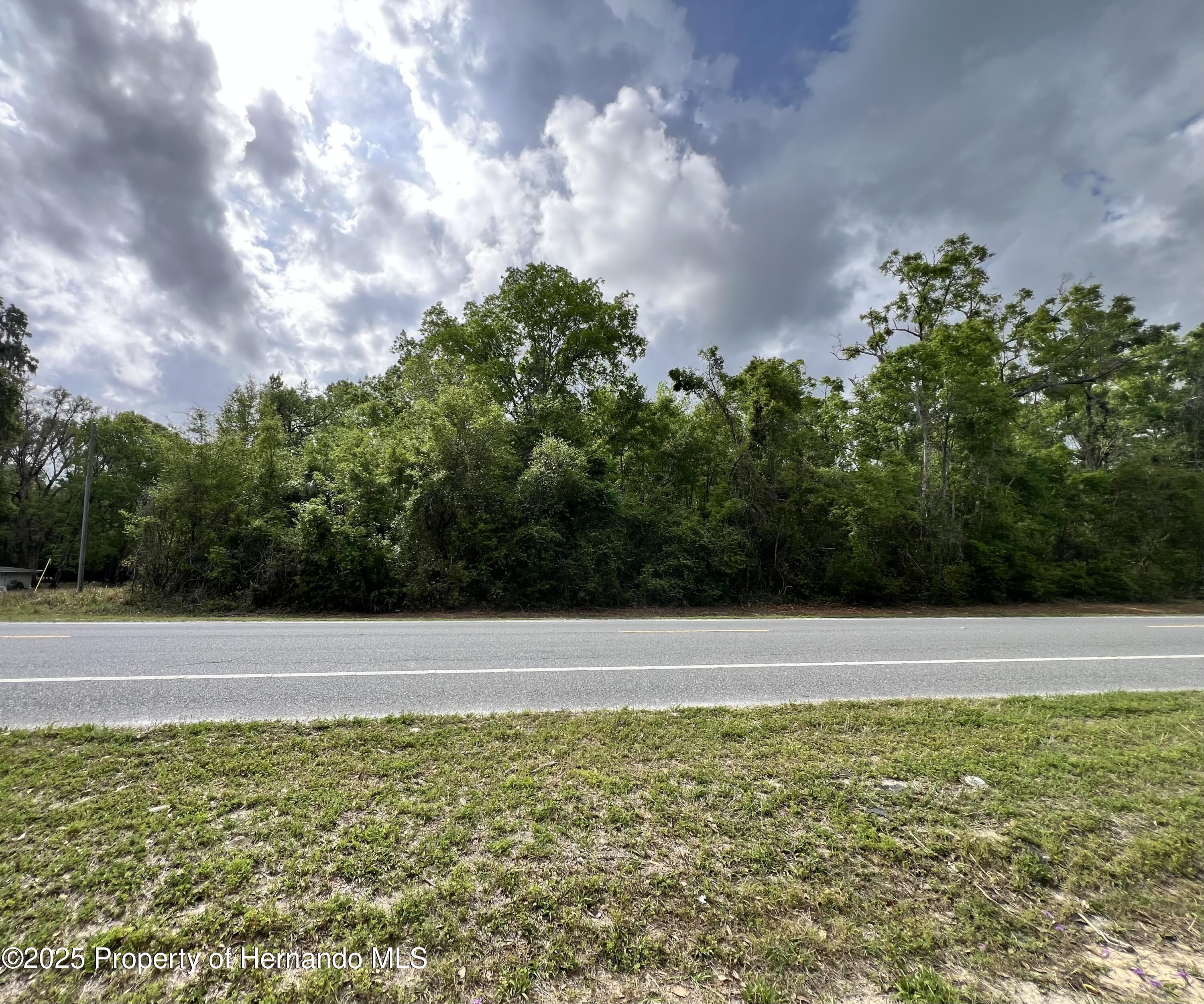 NE 349 Avenue, Old Town, Florida image 8