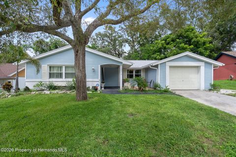 Homes For Sale - 12514 Coffee Hill Row<br/> Hudson, FL 34667