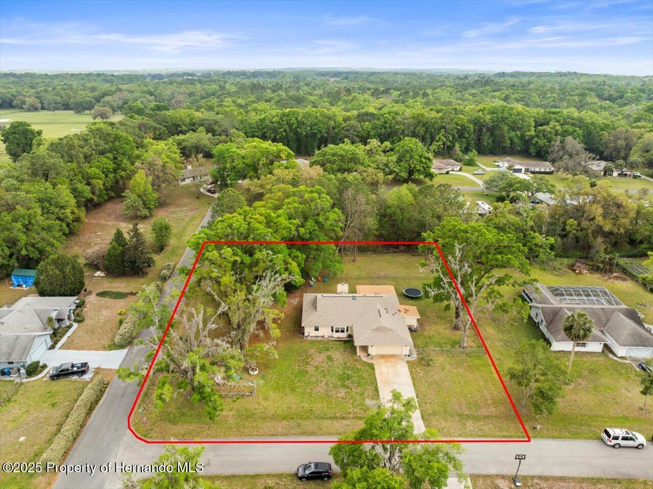 24104 Peppermill Drive, Brooksville, Florida image 4
