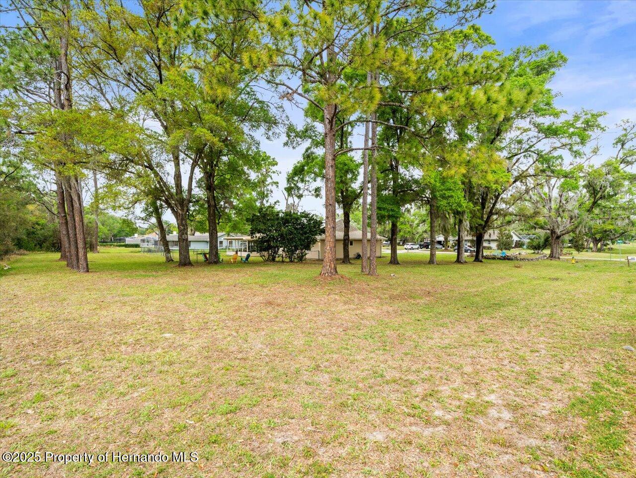 24104 Peppermill Drive, Brooksville, Florida image 50