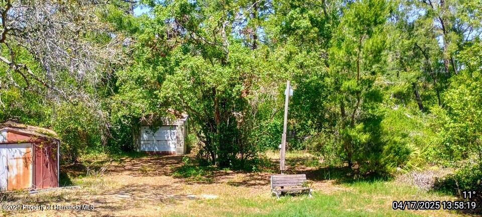 12437 Drayton Drive, Spring Hill, Florida image 38