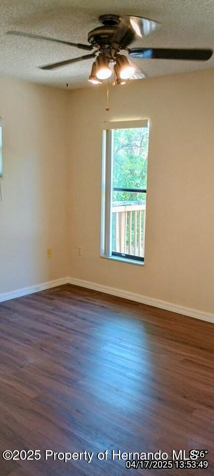 12437 Drayton Drive, Spring Hill, Florida image 24