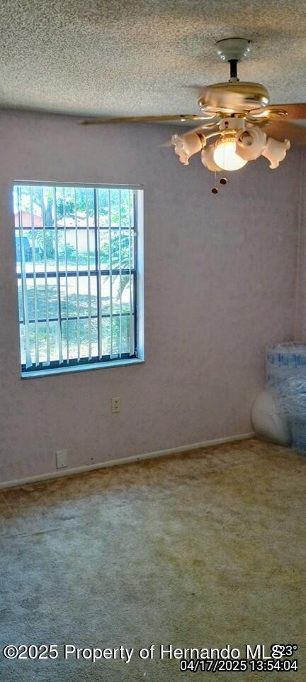 12437 Drayton Drive, Spring Hill, Florida image 26
