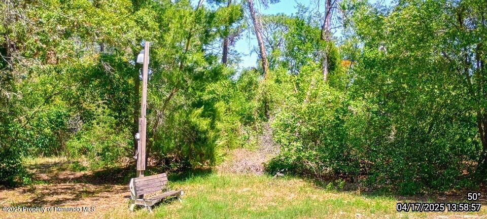 12437 Drayton Drive, Spring Hill, Florida image 39
