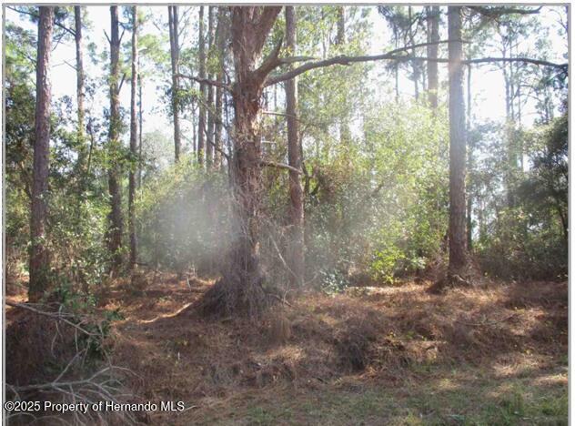 108 Humphrey Avenue, Lake Placid, Florida image 1