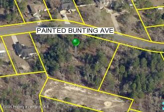 Painted Bunting Avenue, Weeki Wachee, Florida image 3