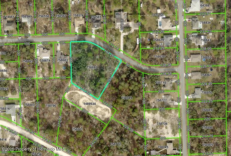 Painted Bunting Avenue, Weeki Wachee, Florida image 4