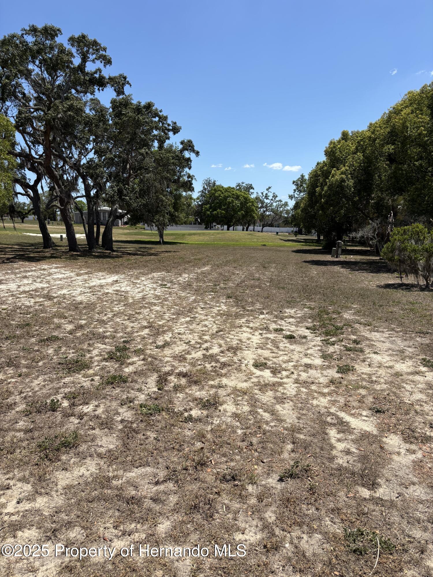12264 Obrien Avenue, Brooksville, Florida image 1