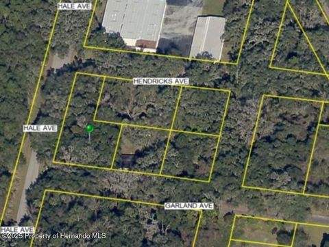 Vacant Land For Sale - Hale Avenue<br/> Brooksville, FL 34601