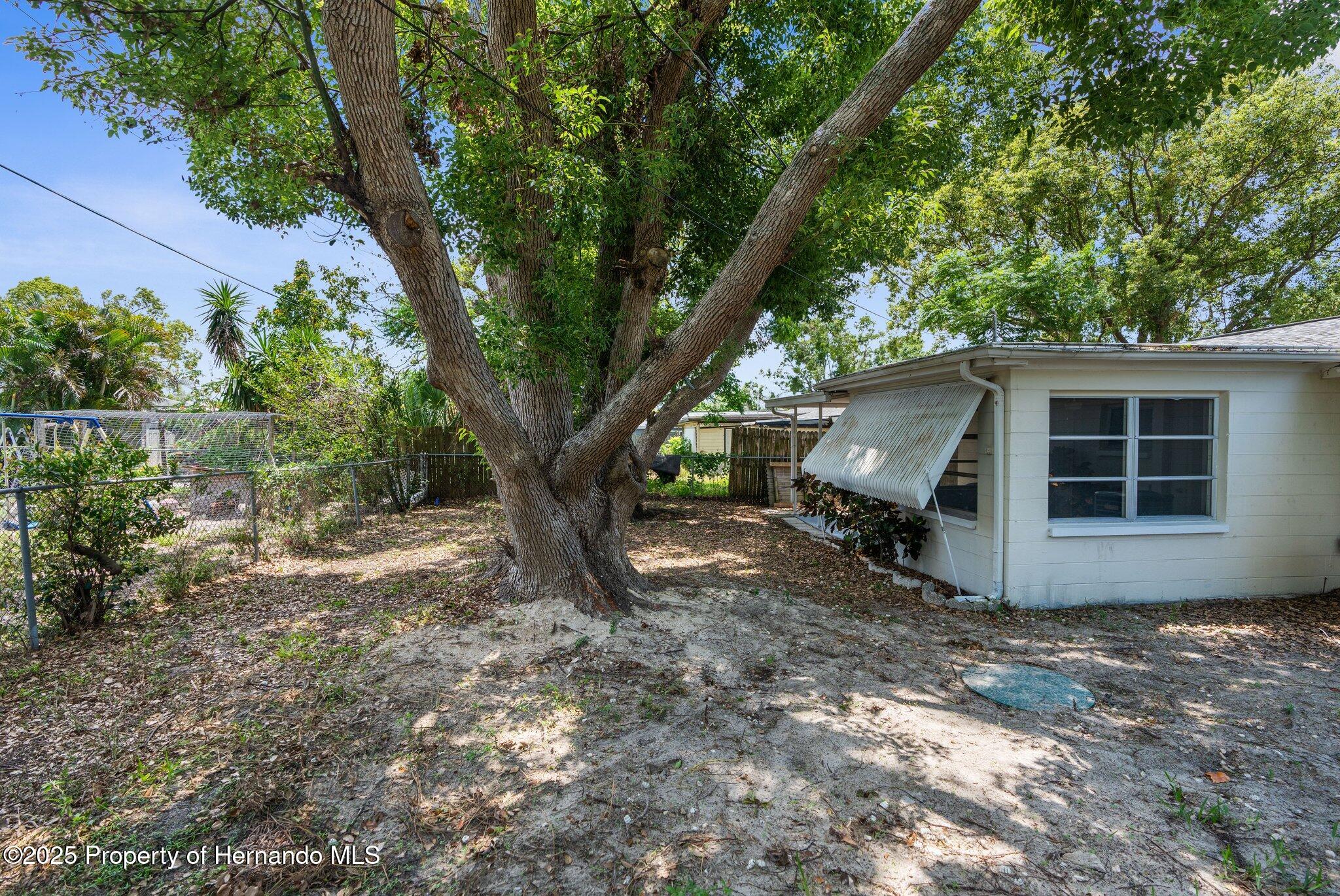 4520 Blanche Street, New Port Richey, Florida image 20
