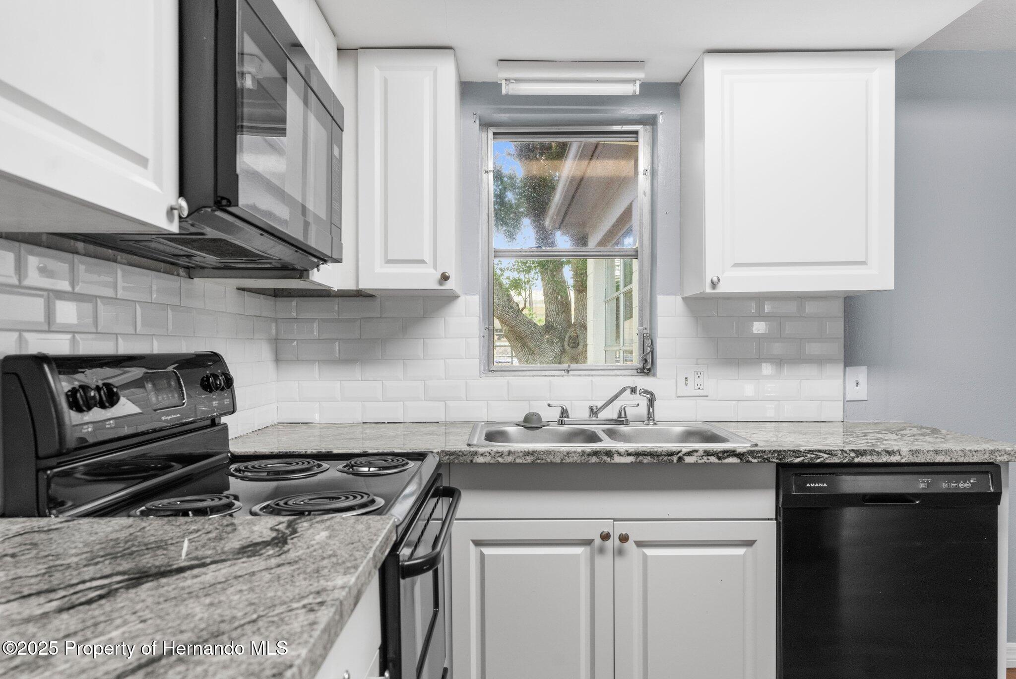 4520 Blanche Street, New Port Richey, Florida image 9