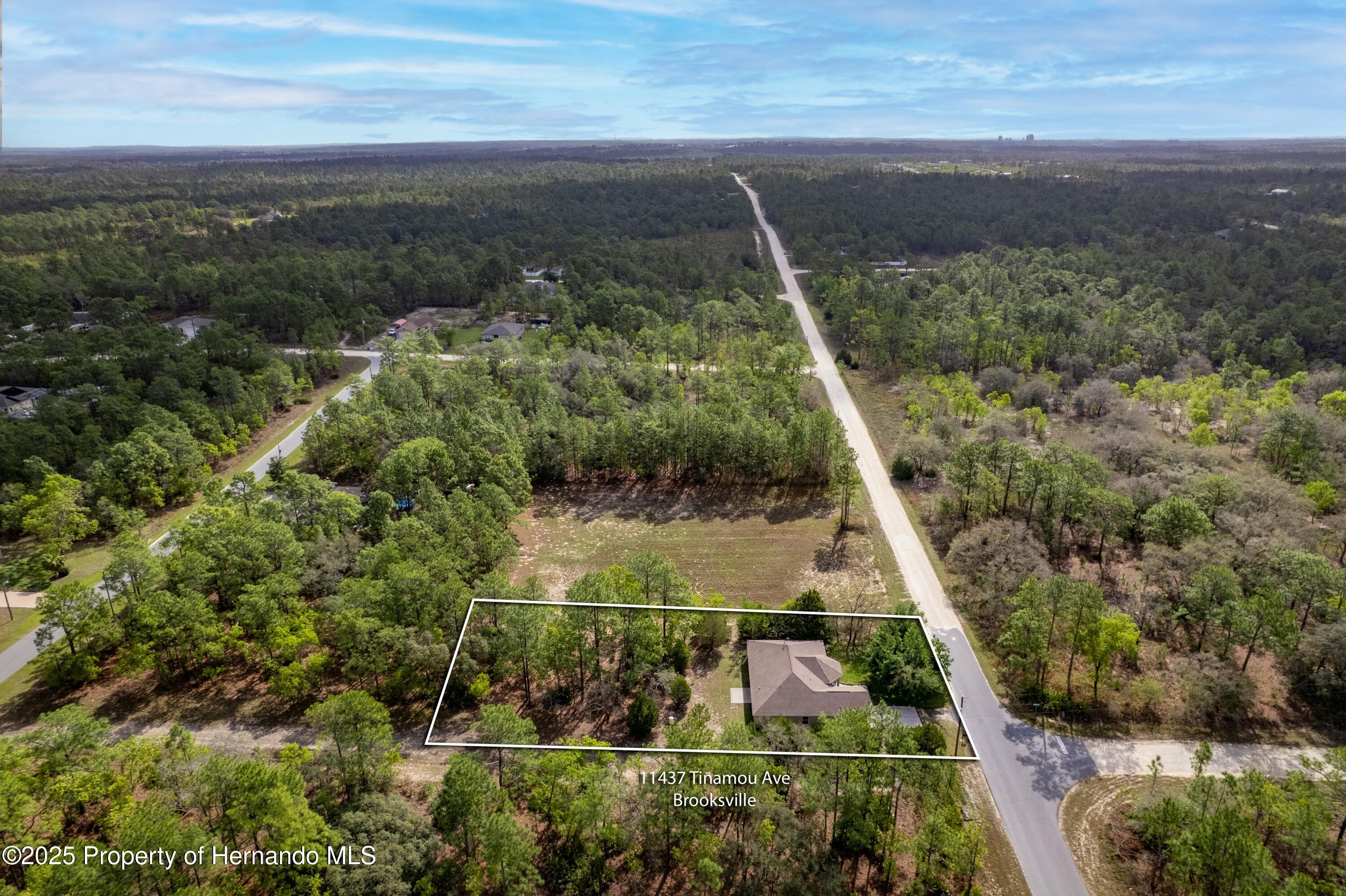 11437 Tinamou Avenue, Weeki Wachee, Florida image 50