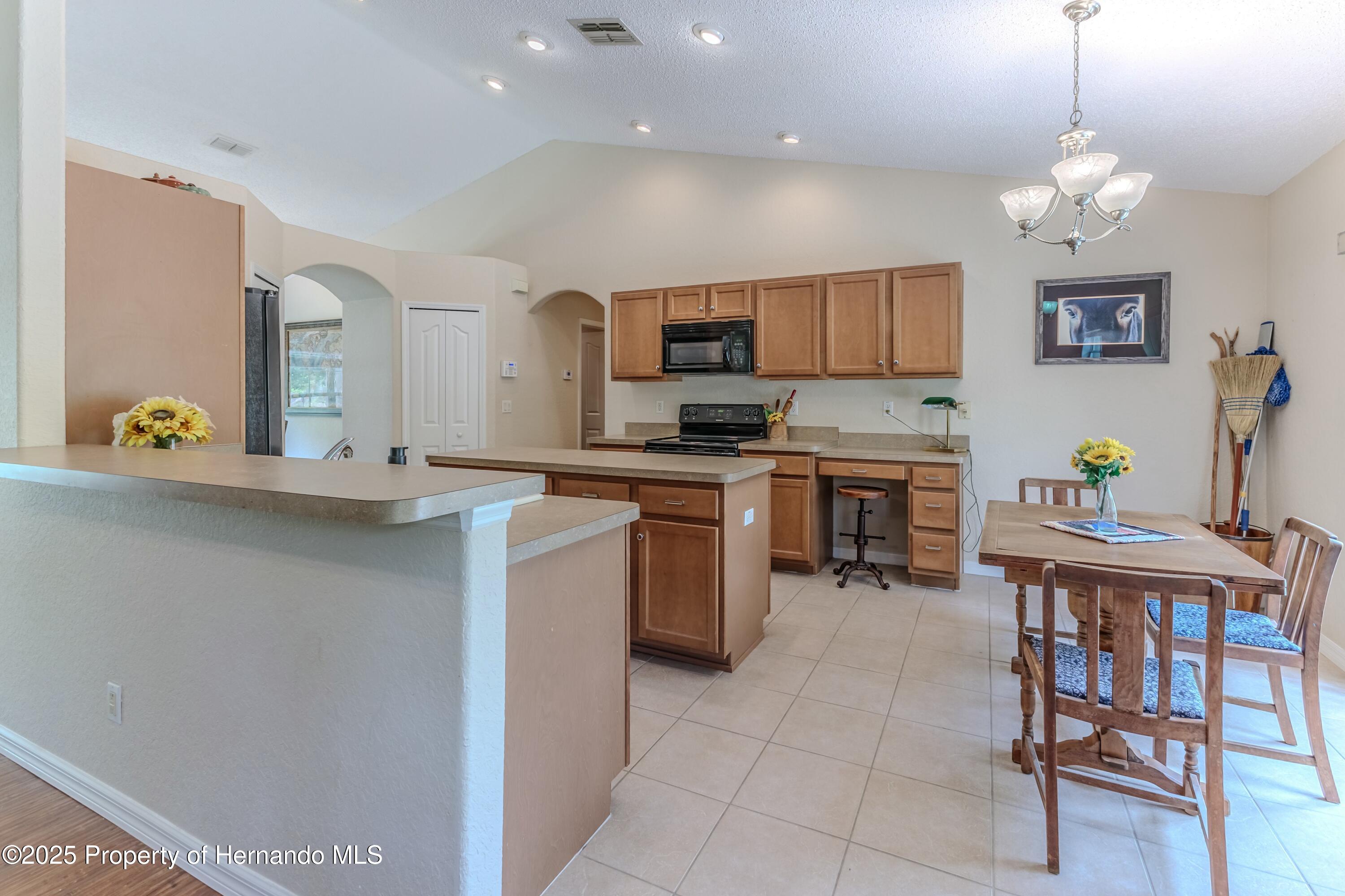 11437 Tinamou Avenue, Weeki Wachee, Florida image 19