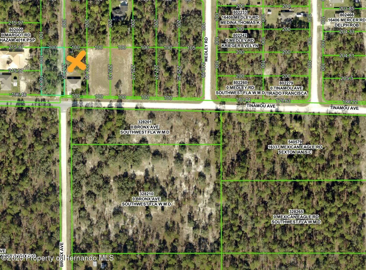 11437 Tinamou Avenue, Weeki Wachee, Florida image 5
