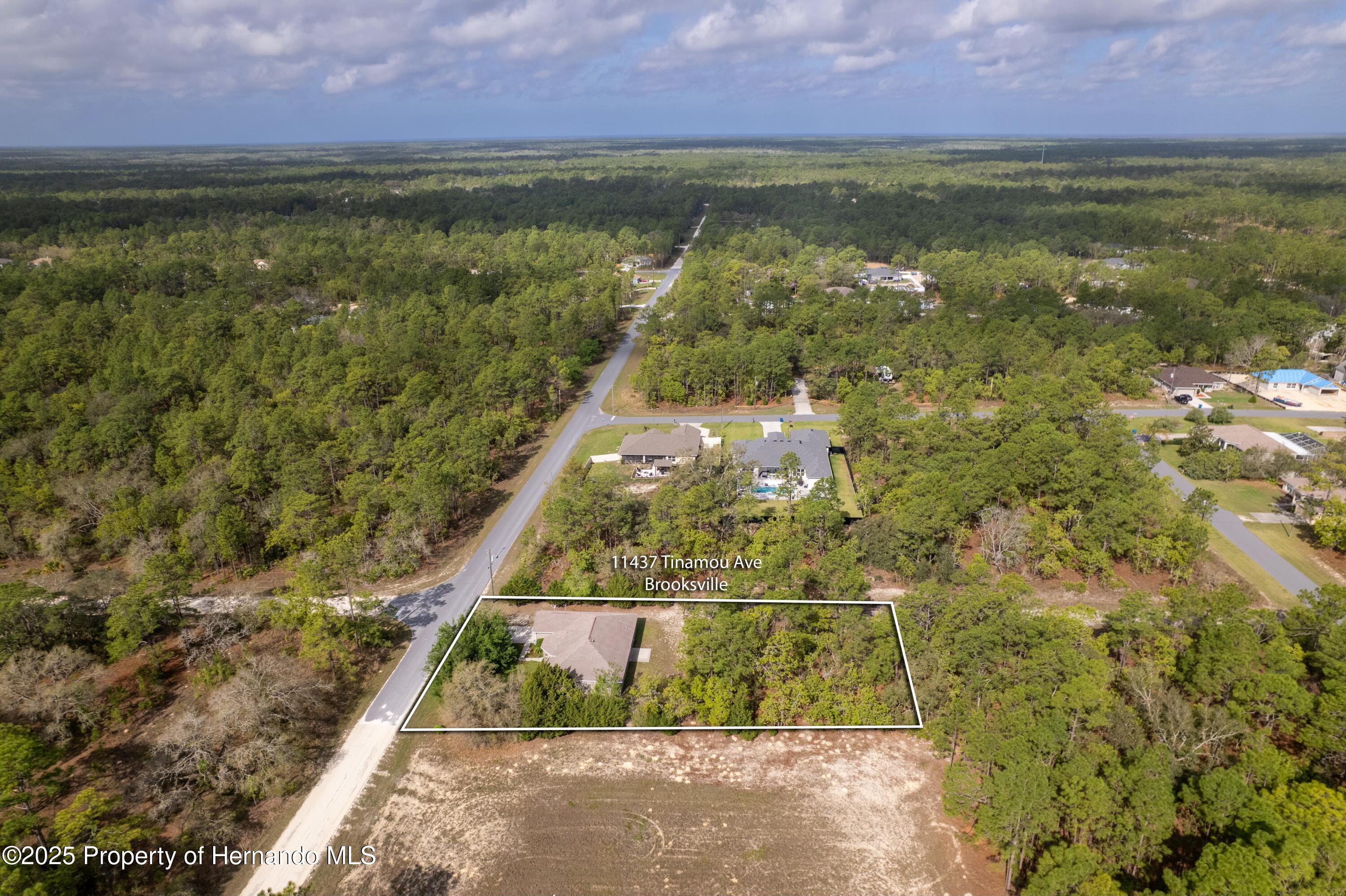 11437 Tinamou Avenue, Weeki Wachee, Florida image 46