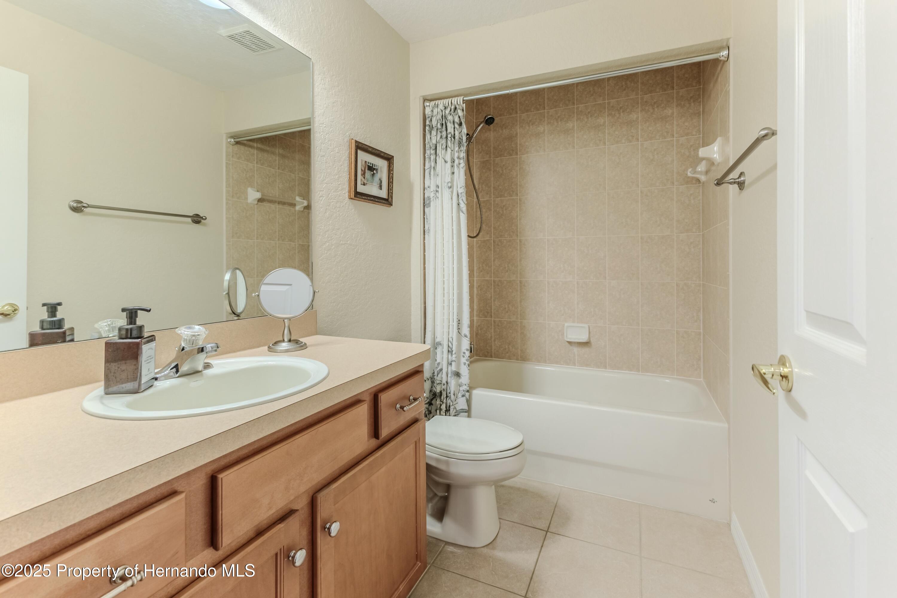 11437 Tinamou Avenue, Weeki Wachee, Florida image 39