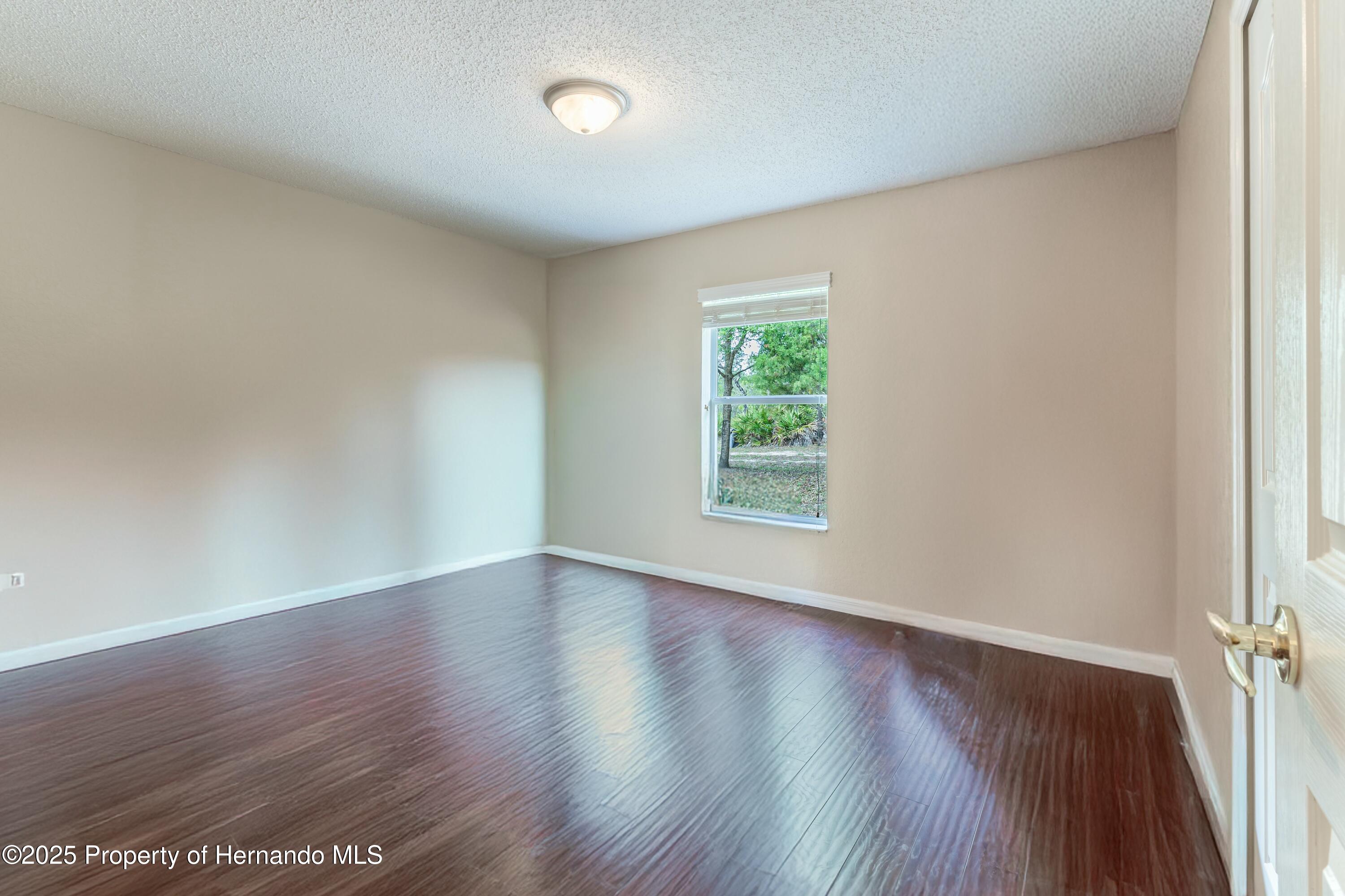 11437 Tinamou Avenue, Weeki Wachee, Florida image 38