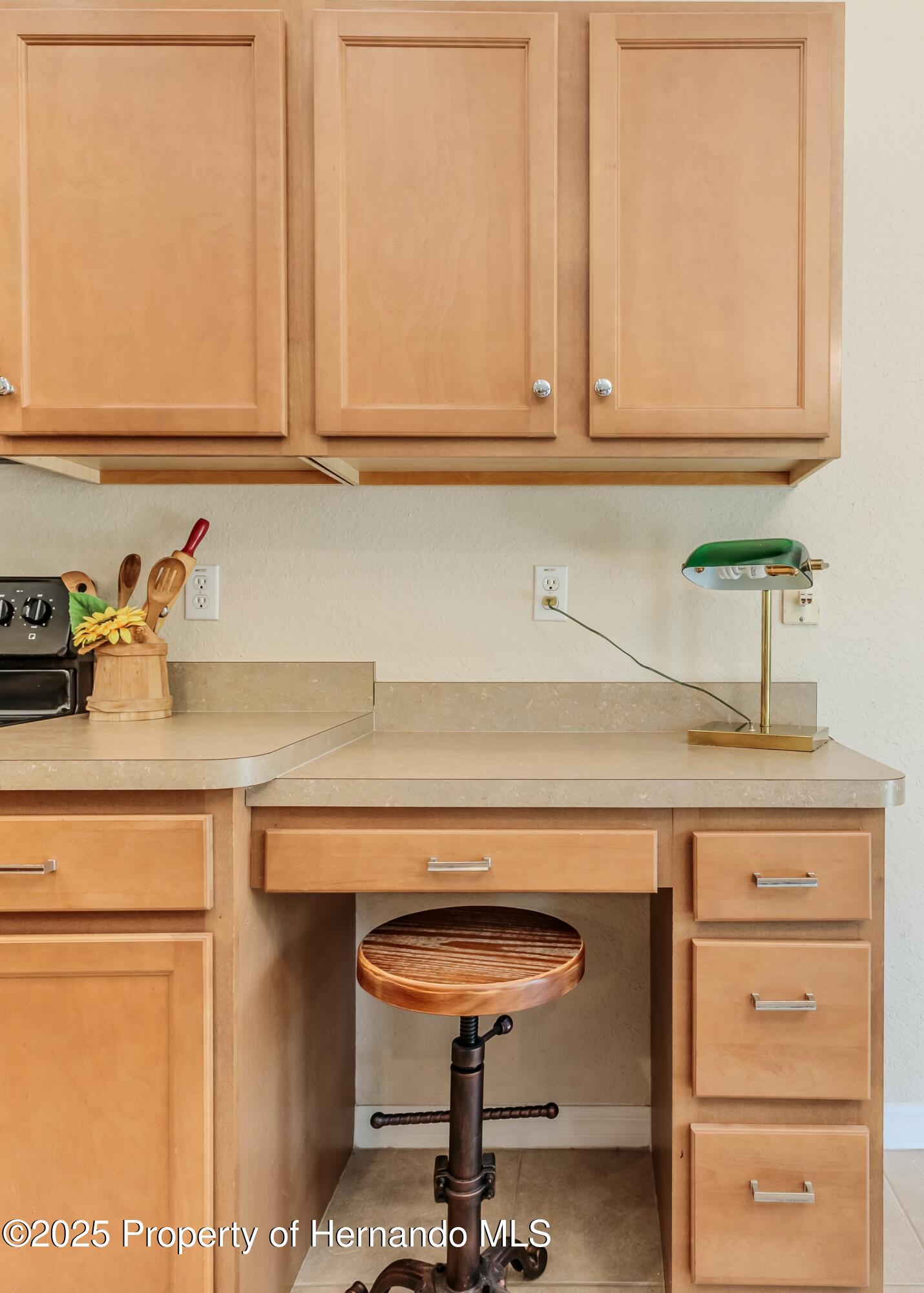 11437 Tinamou Avenue, Weeki Wachee, Florida image 17
