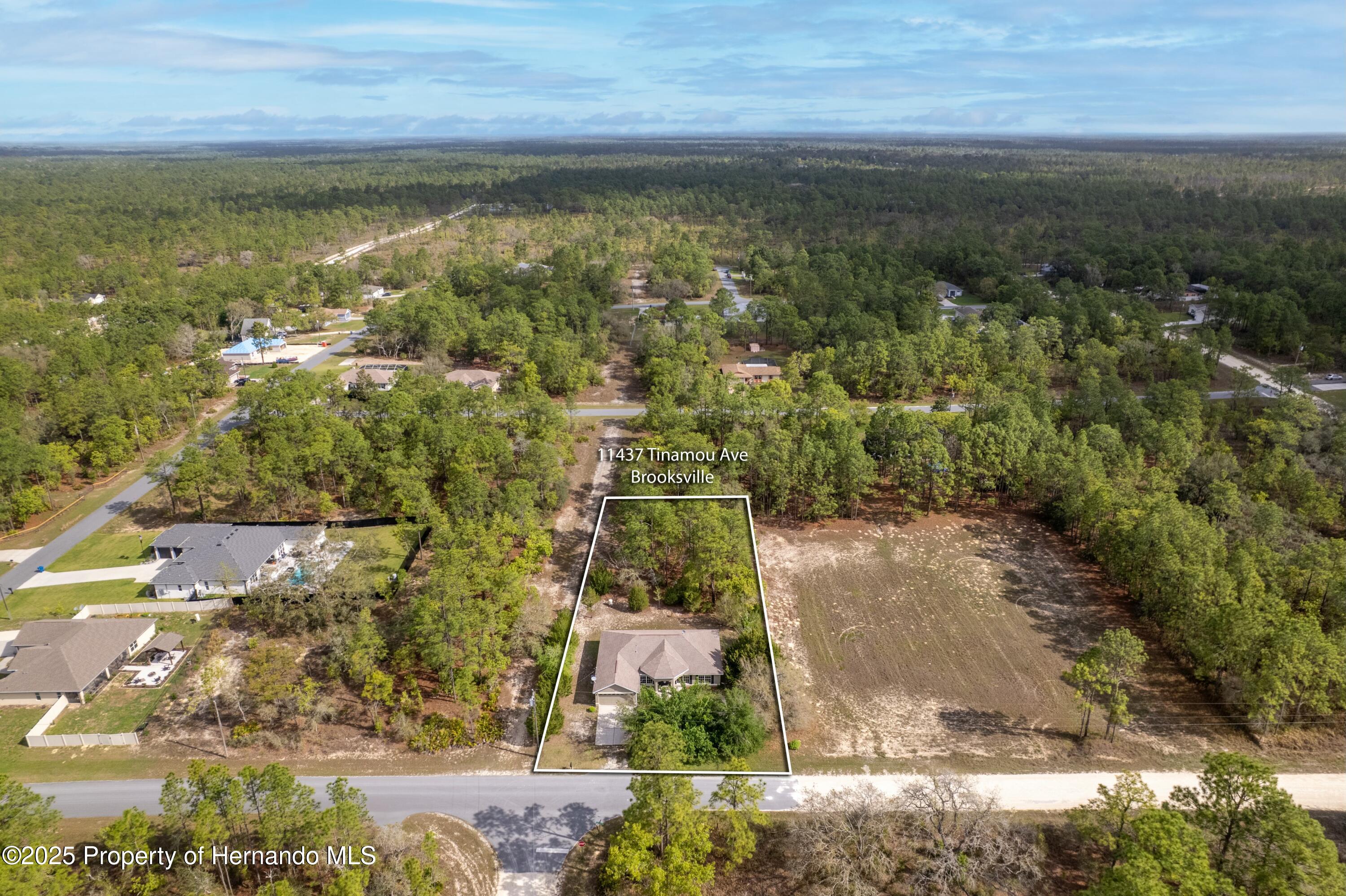 11437 Tinamou Avenue, Weeki Wachee, Florida image 4