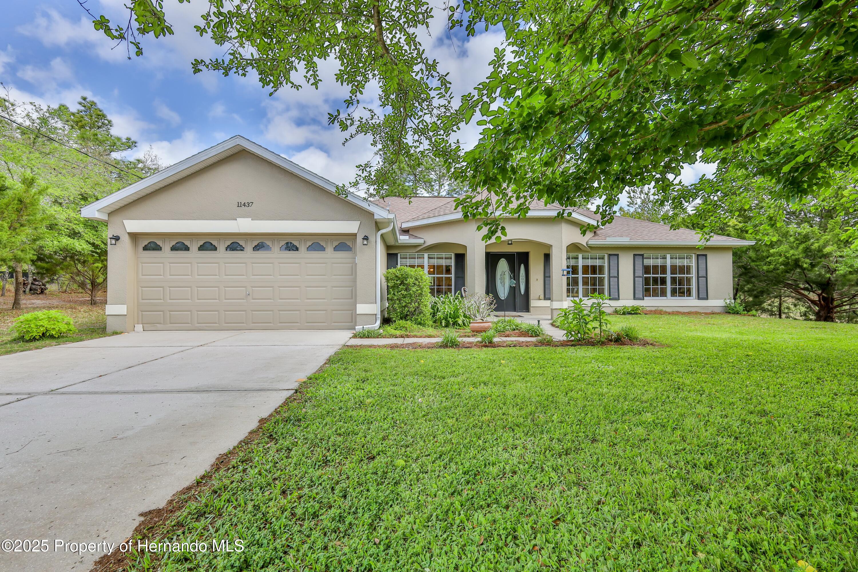 11437 Tinamou Avenue, Weeki Wachee, Florida image 6