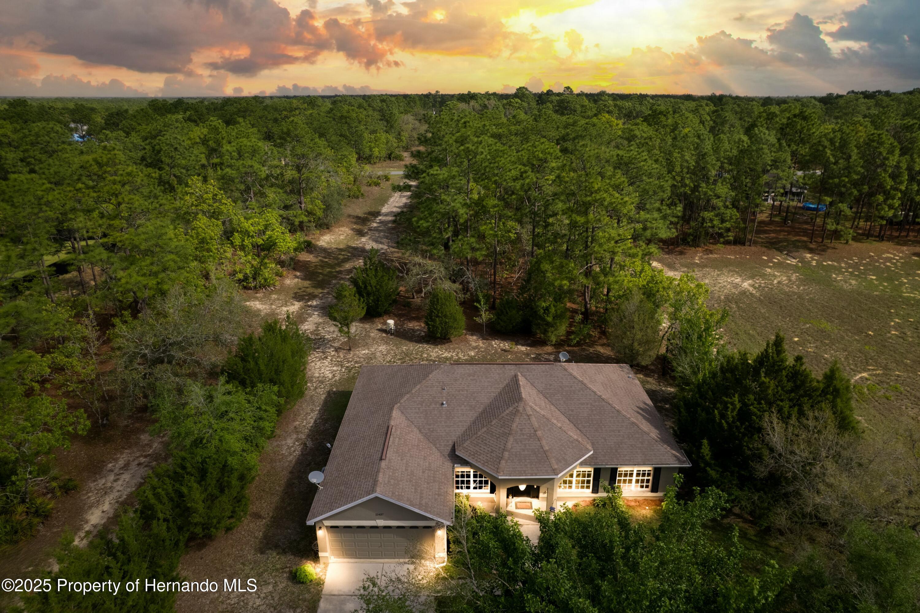 11437 Tinamou Avenue, Weeki Wachee, Florida image 3