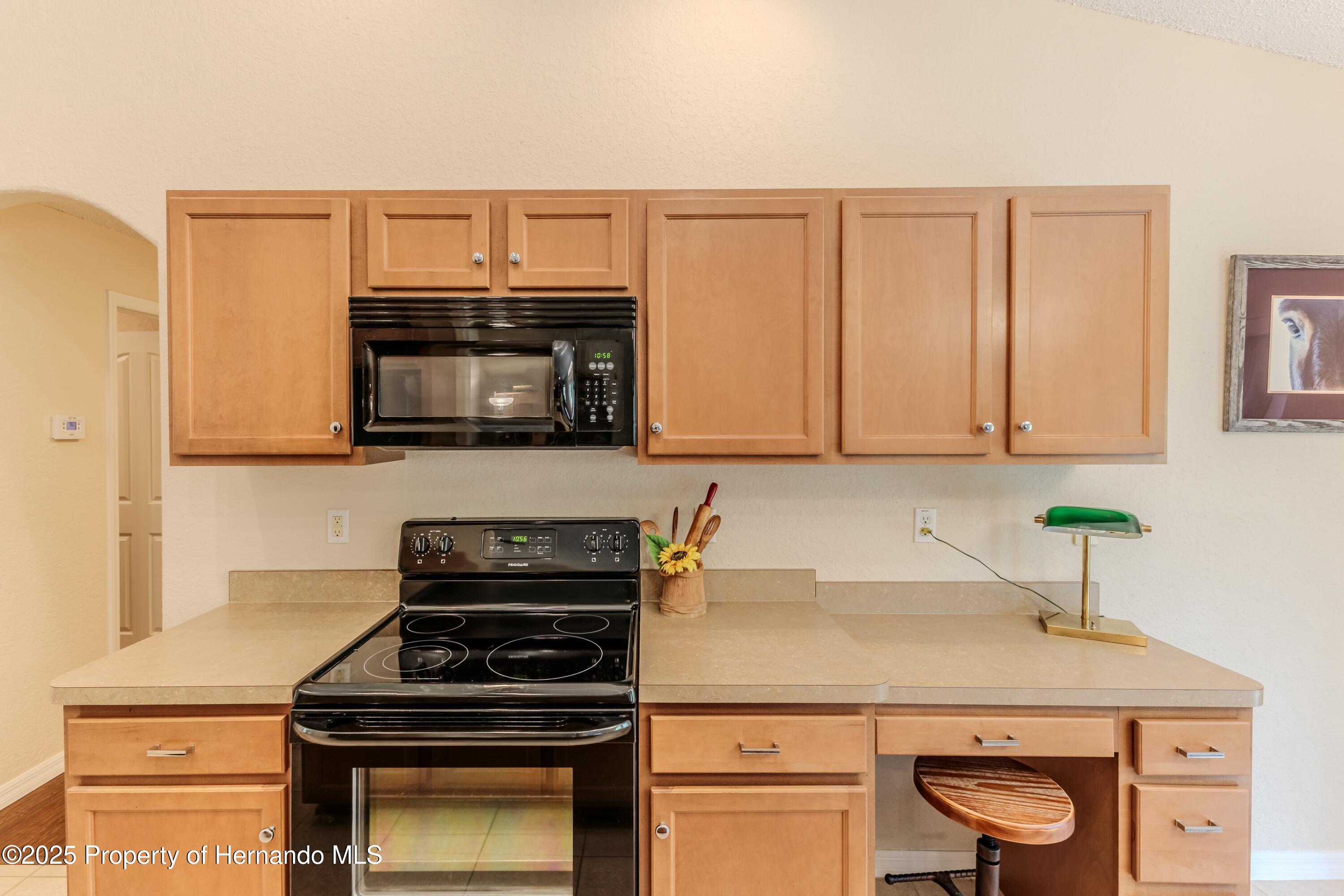 11437 Tinamou Avenue, Weeki Wachee, Florida image 15
